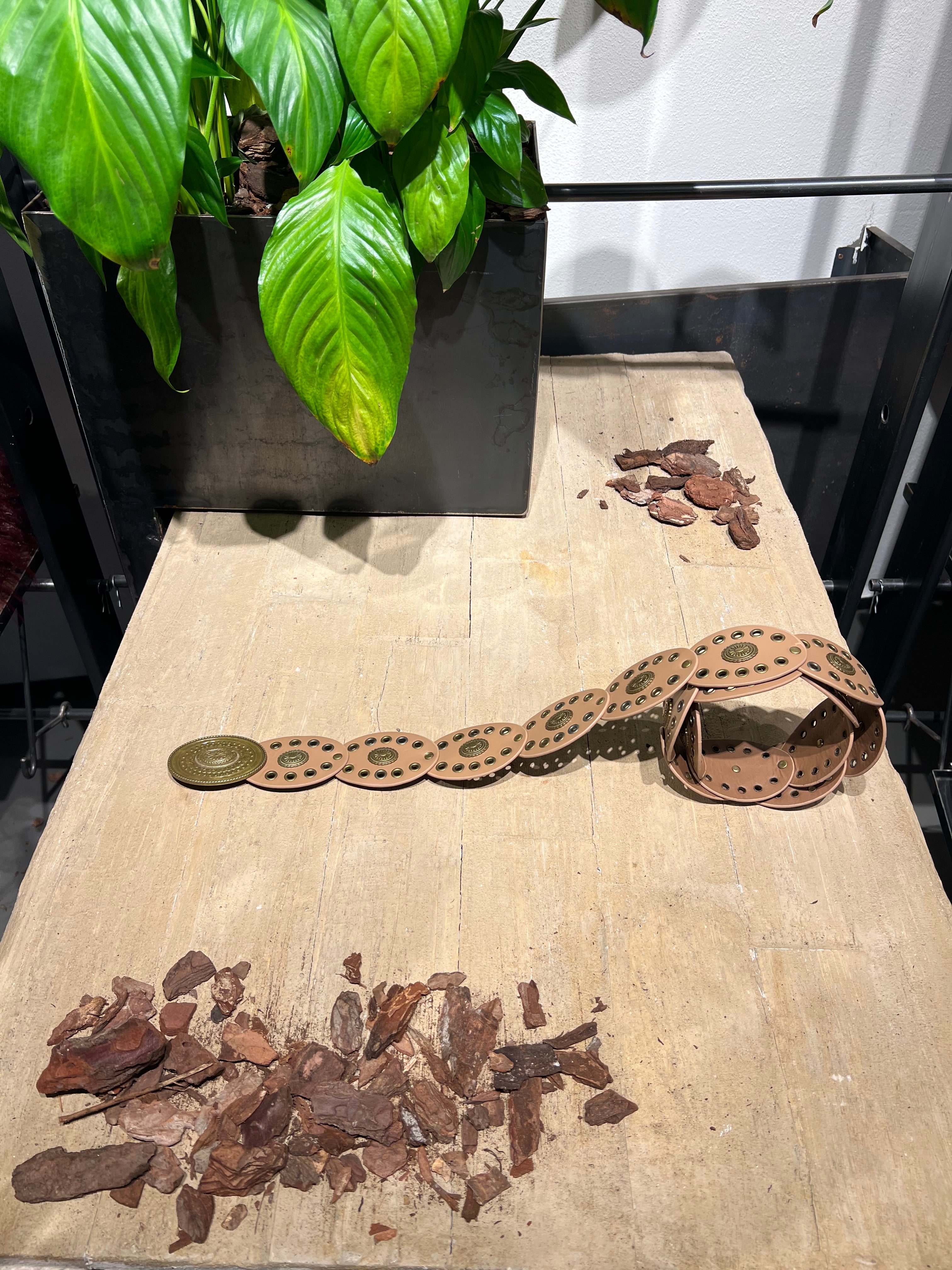 Matié cintura pelle Colorado sabbia