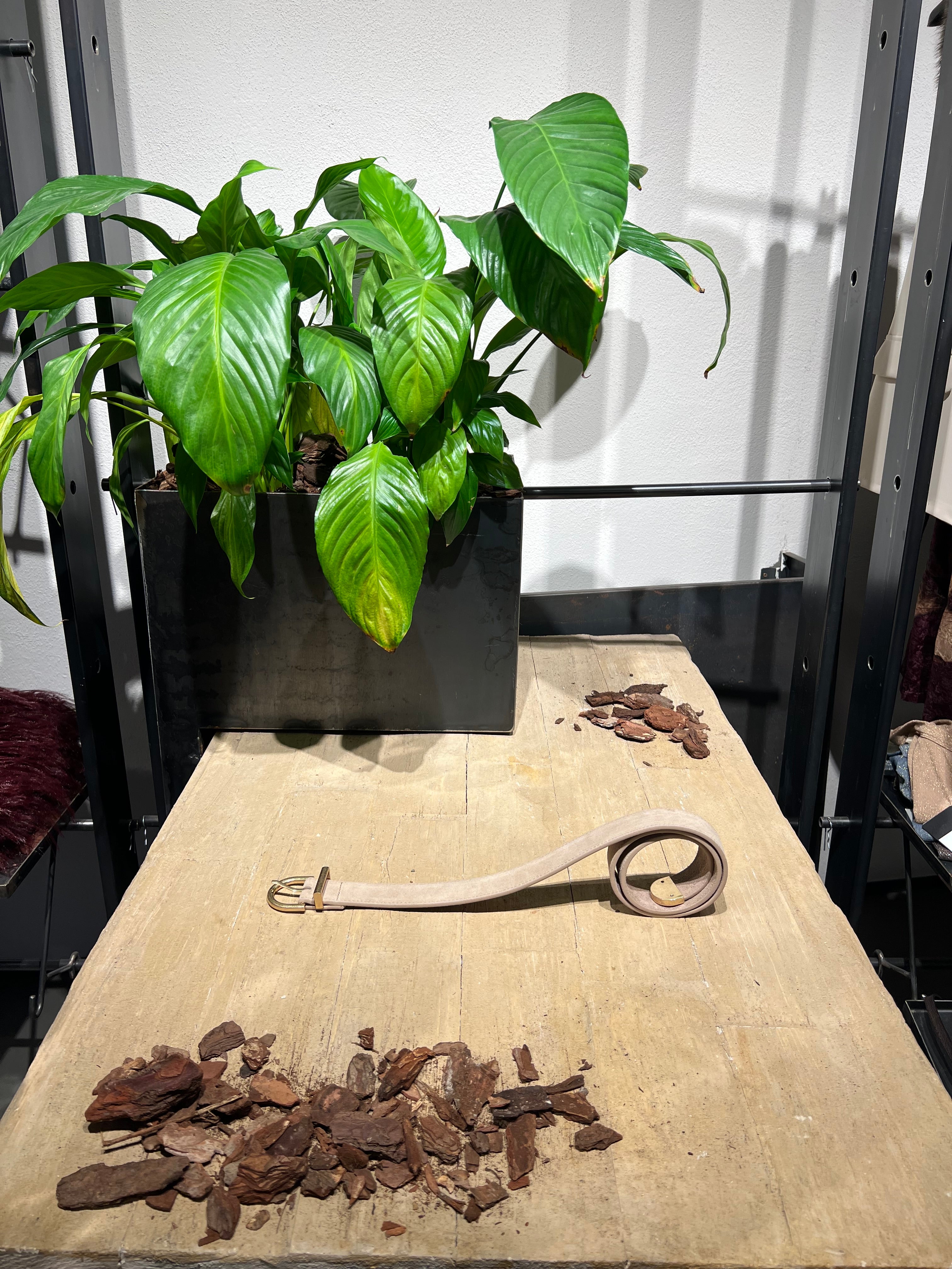 Matié cintura pelle scamosciata sabbia