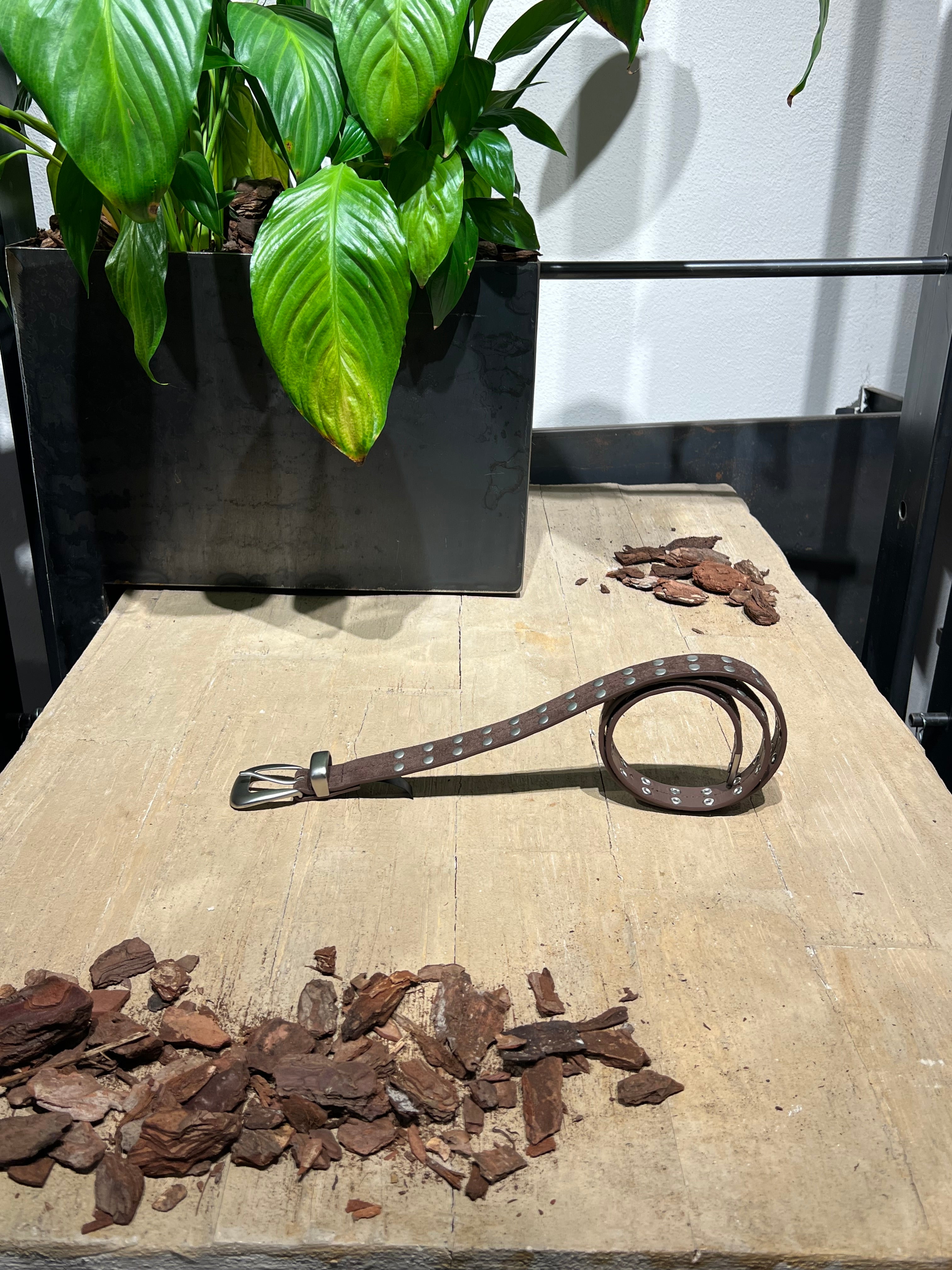 Matié cintura ecopelle borchie