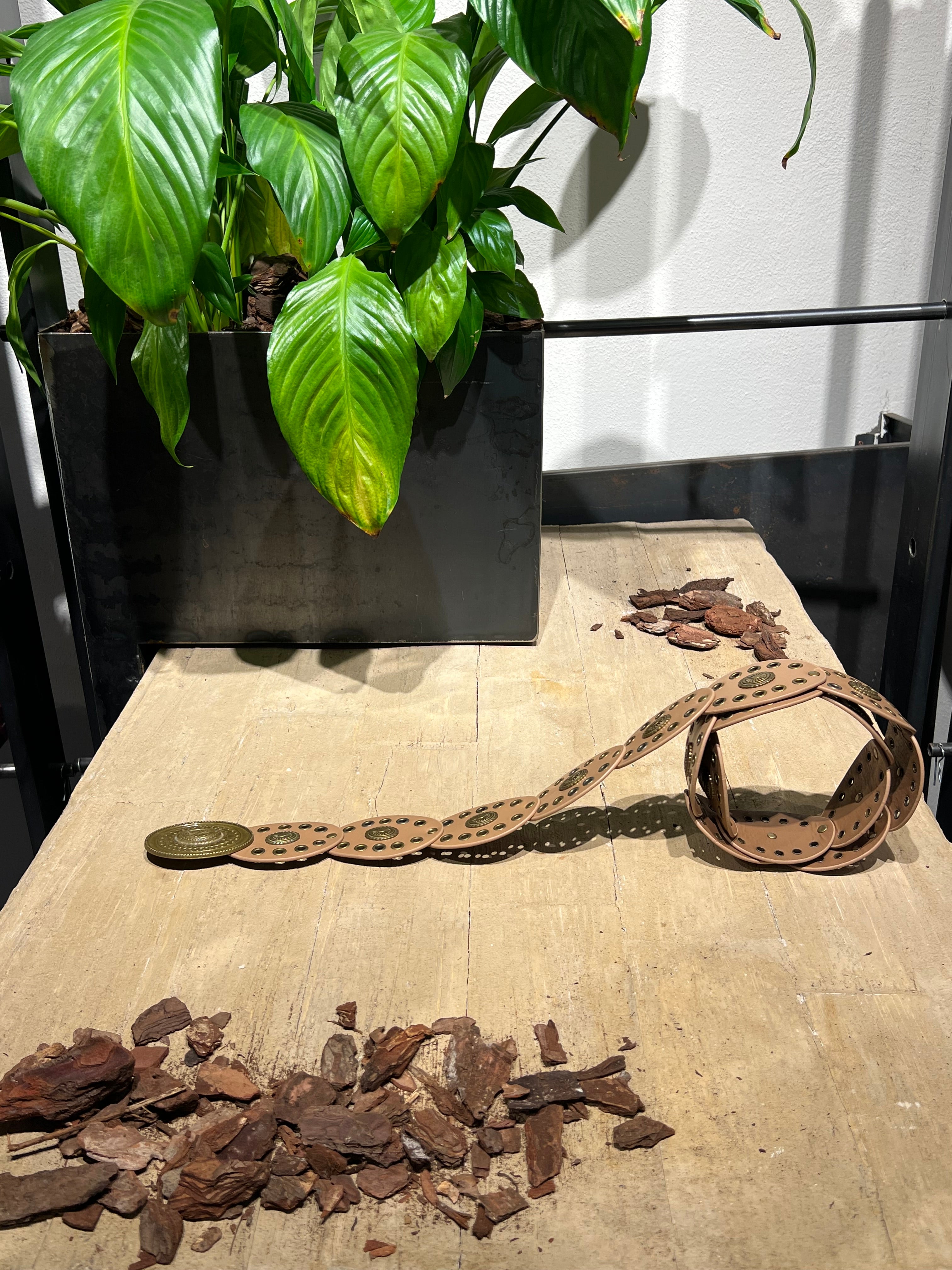 Matié cintura pelle Colorado sabbia