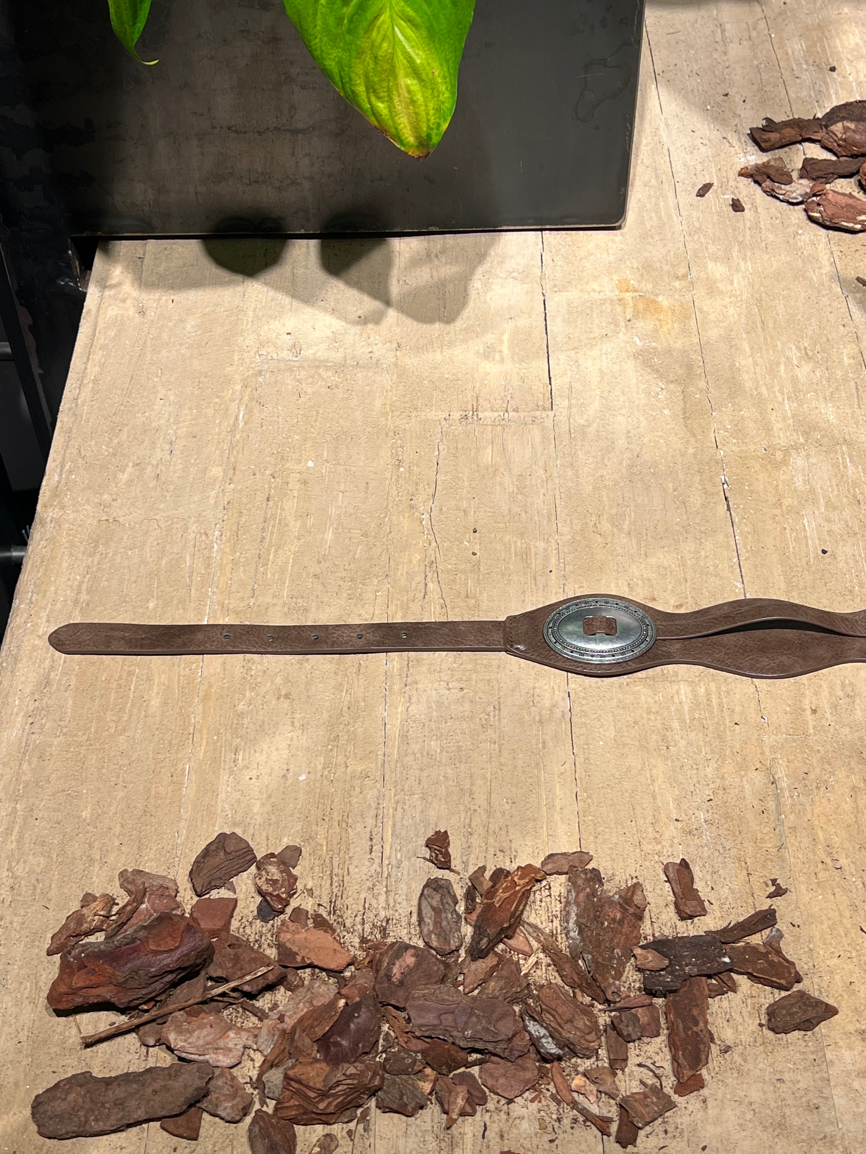 Matié cintura ecopelle Dallas