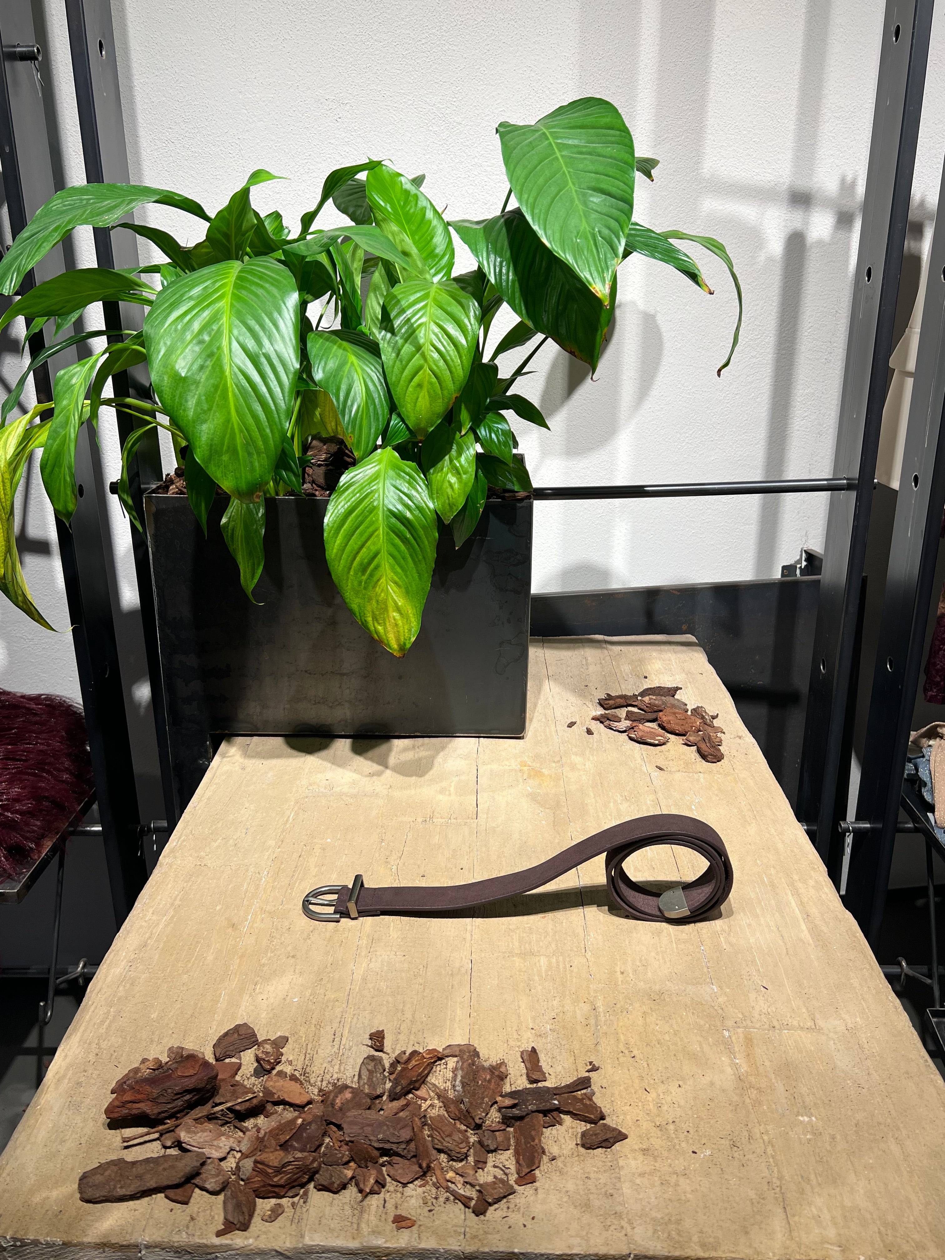 Matié cintura pelle scamosciata cioccolato