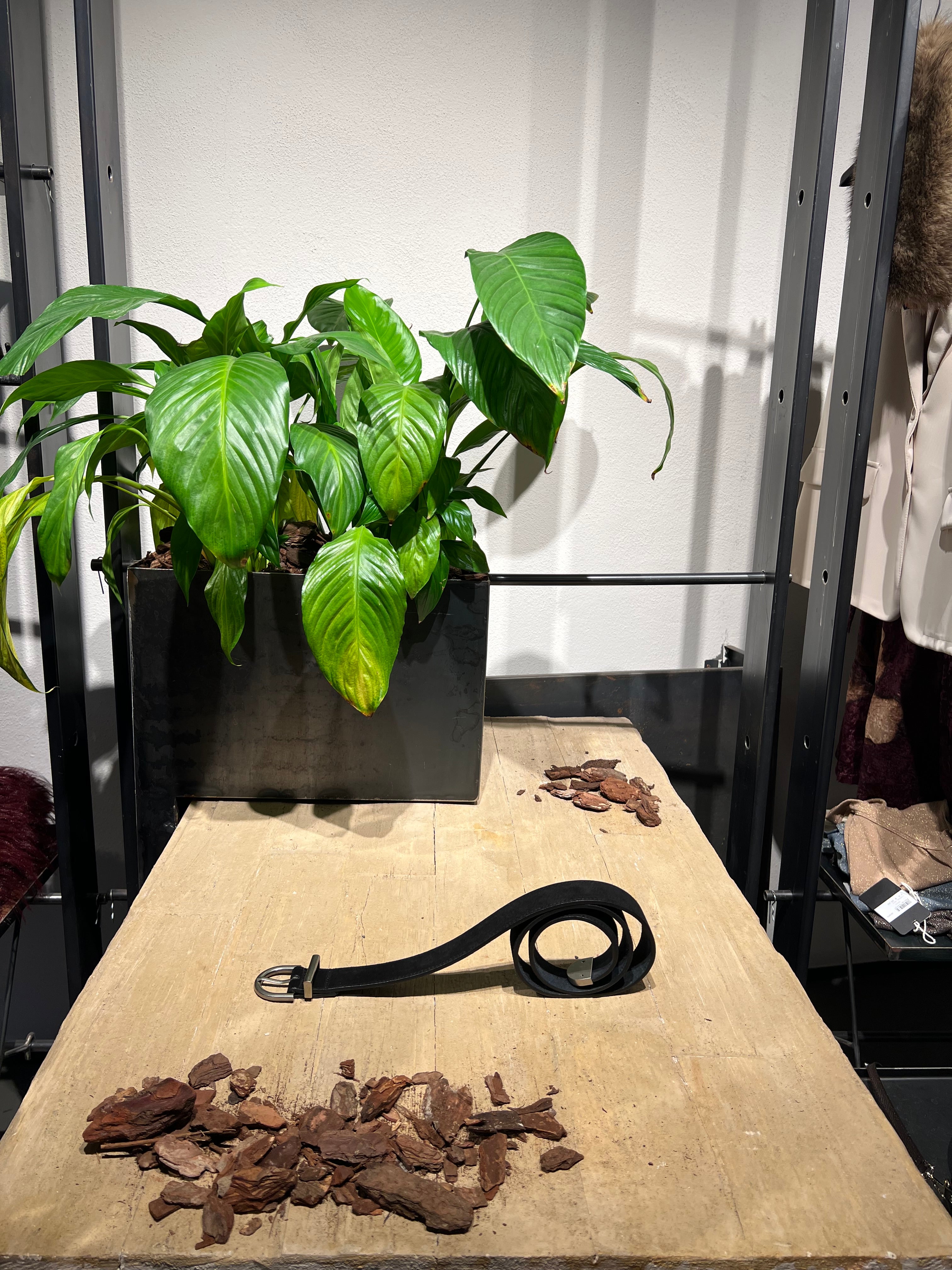 Matié cintura pelle scamosciata nero