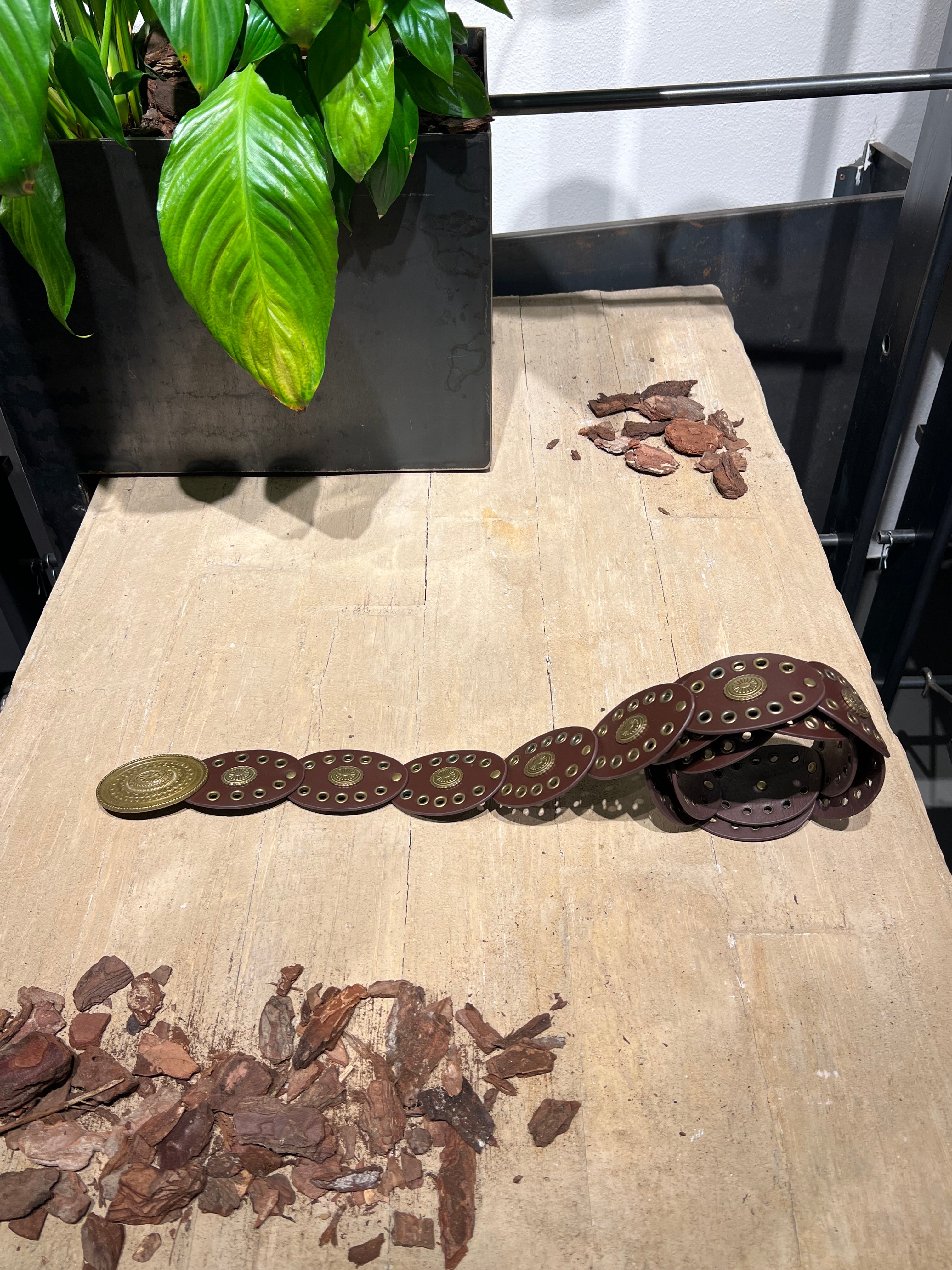 Matié cintura pelle colorado cioccolato