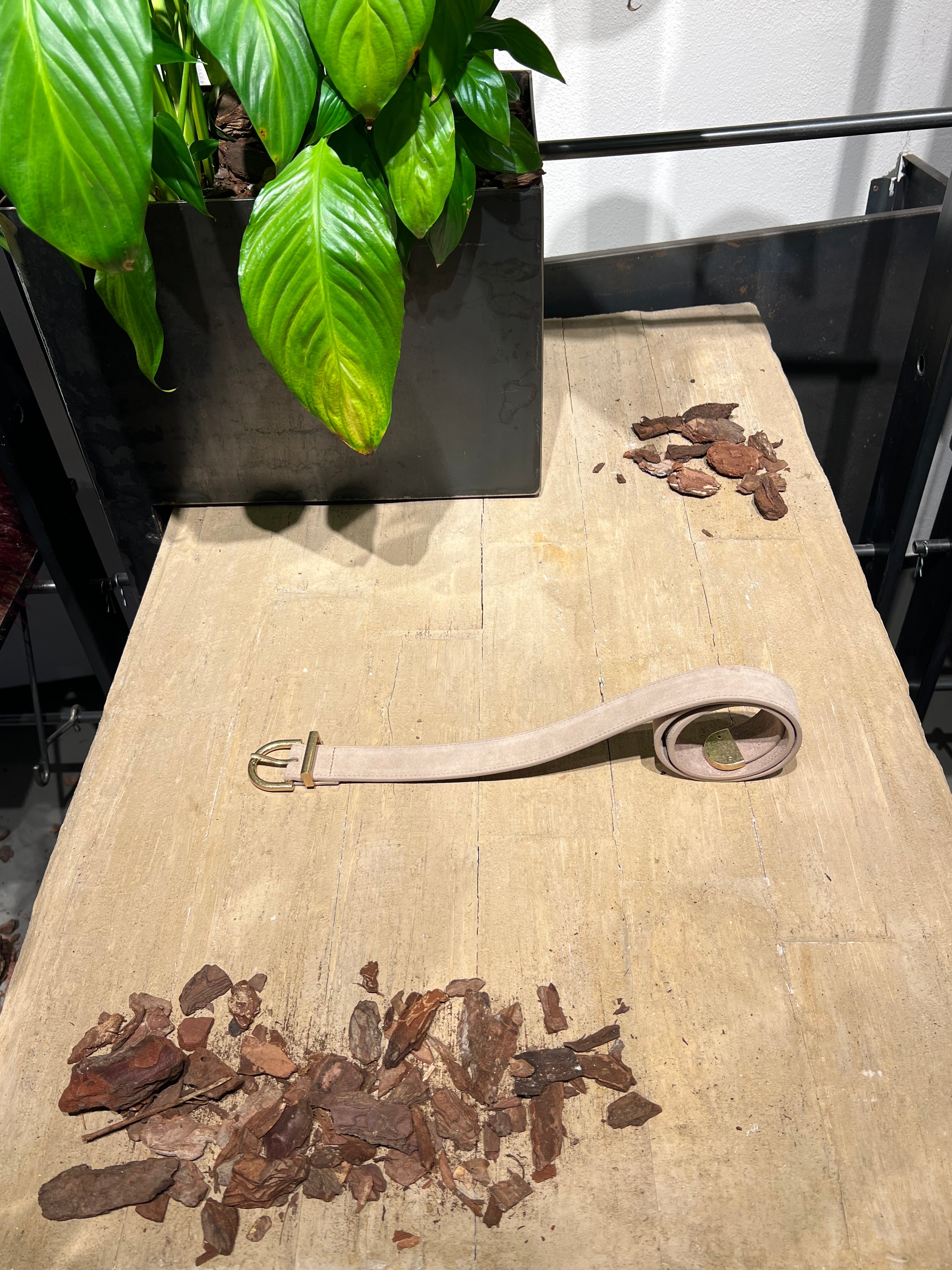 Matié cintura pelle scamosciata sabbia