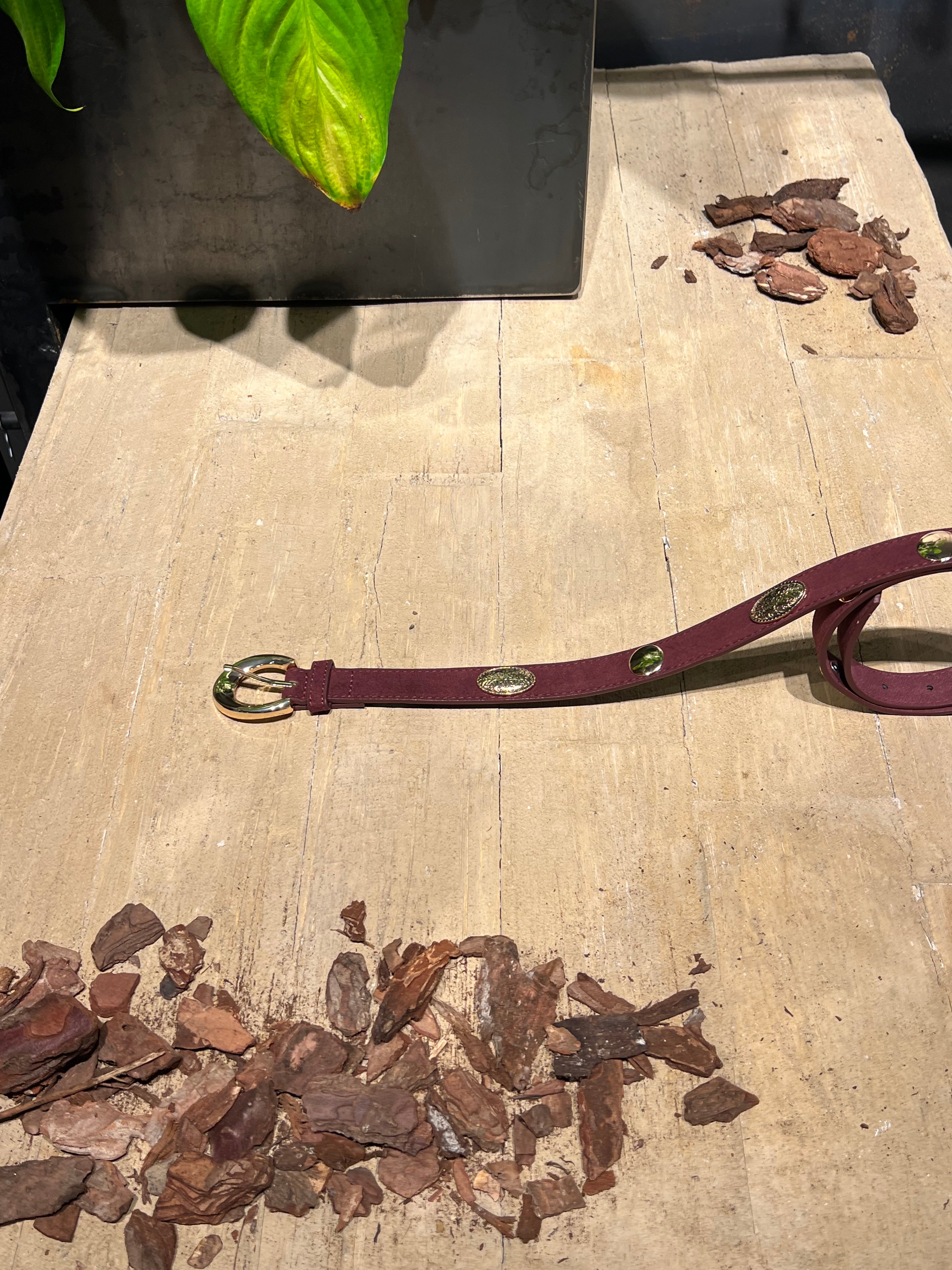 Matié cintura mia bordeaux