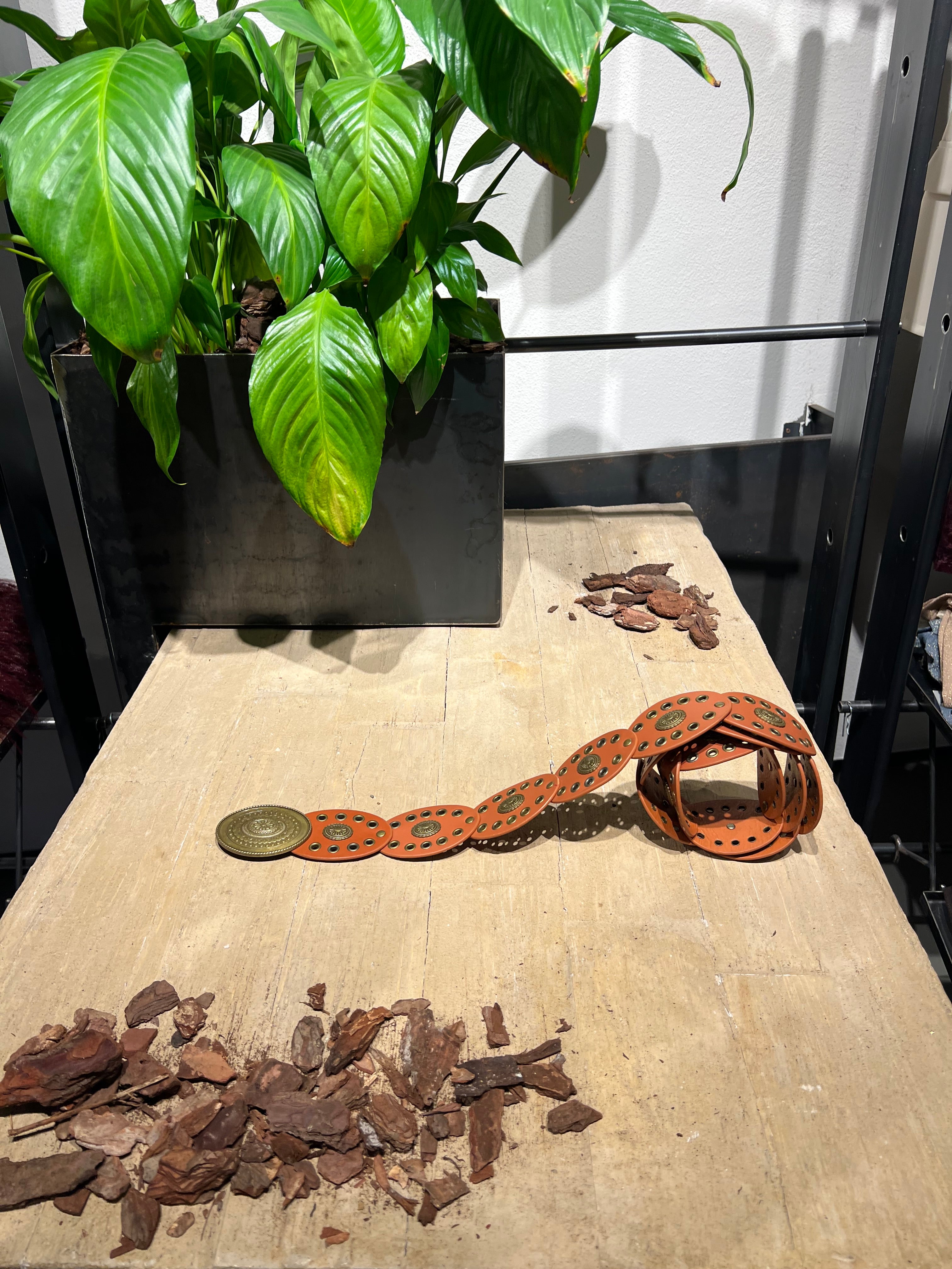 Matié cintura pelle Colorado cuoio