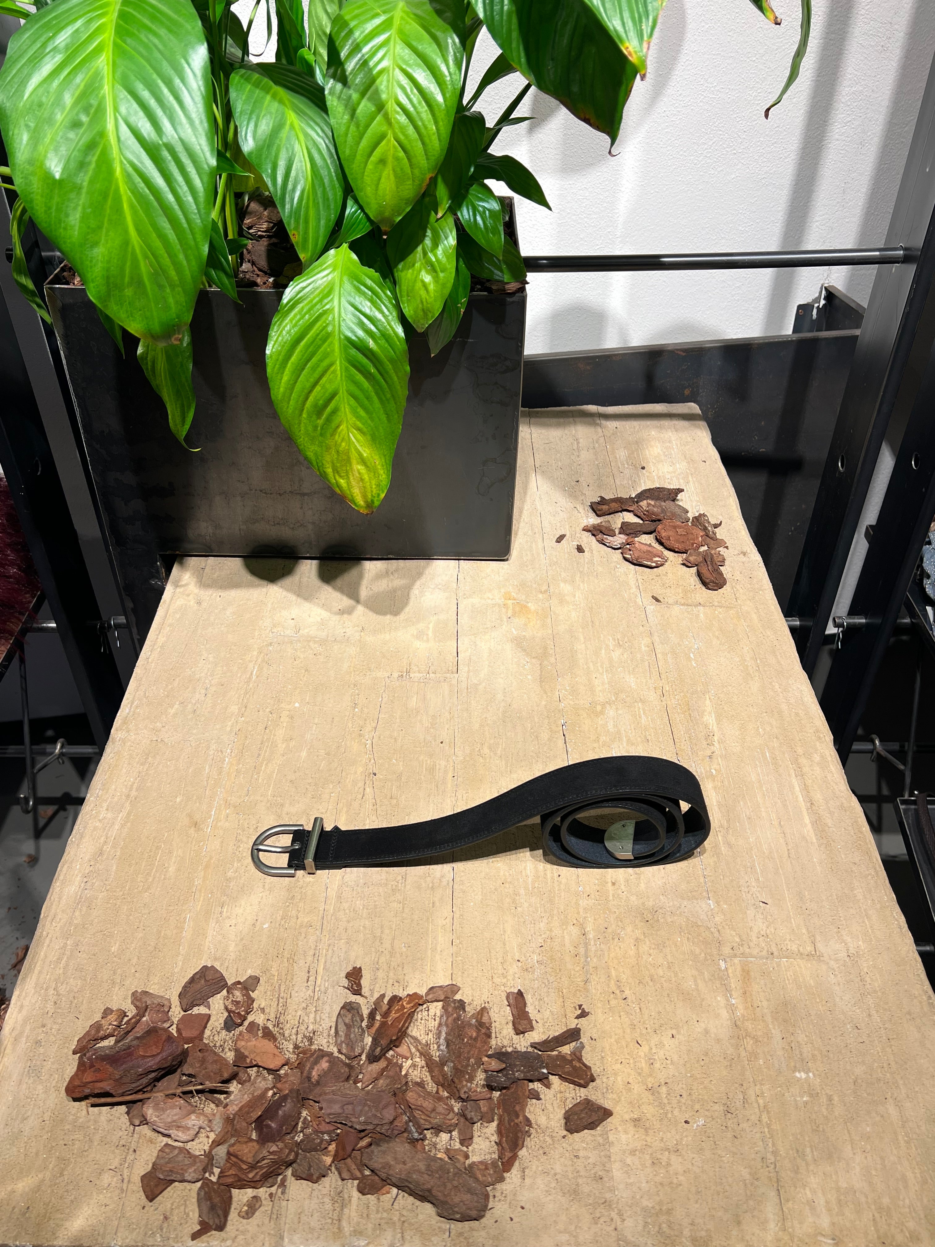 Matié cintura pelle scamosciata nero