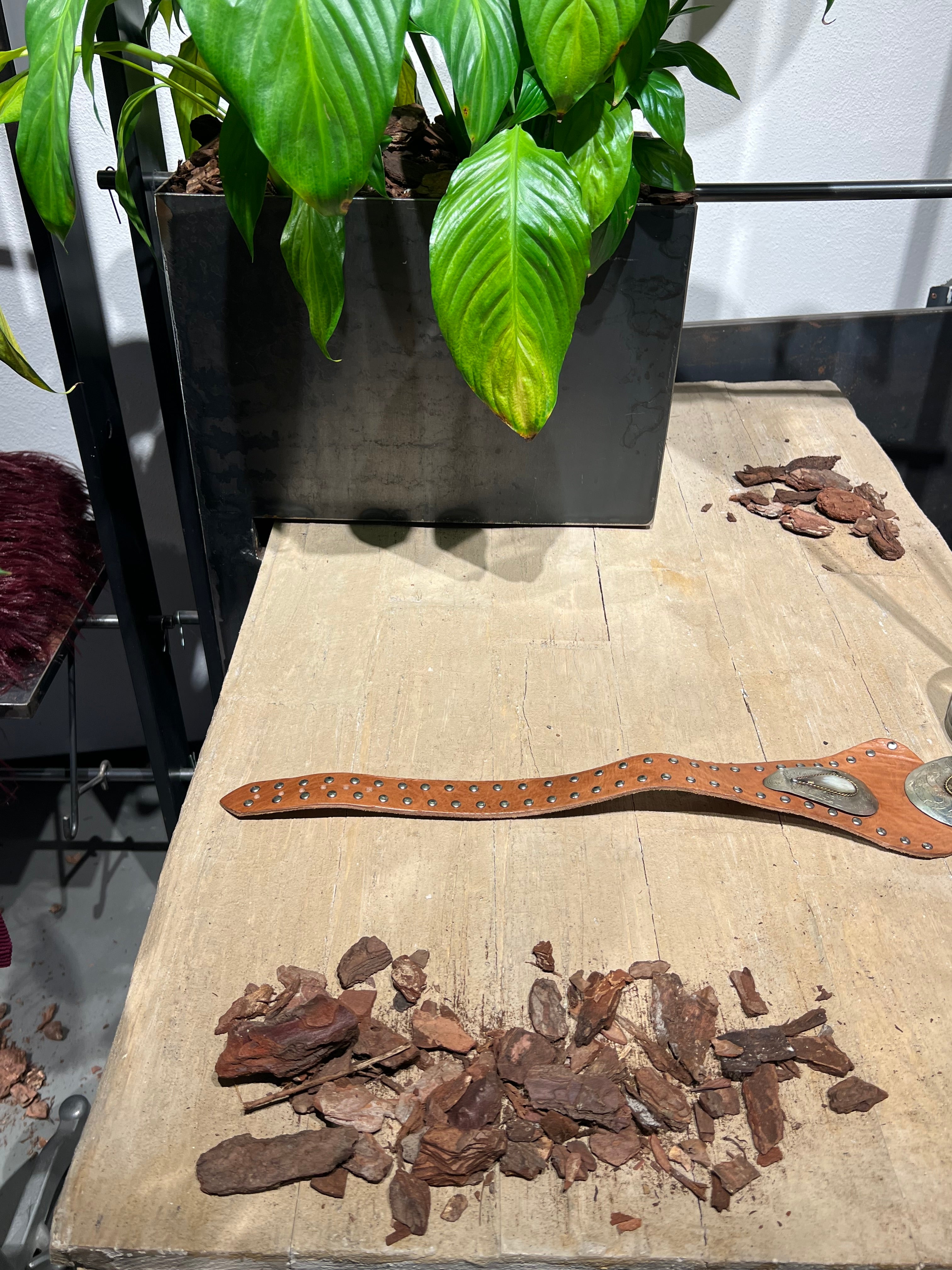 Matié cintura pelle cowgirl