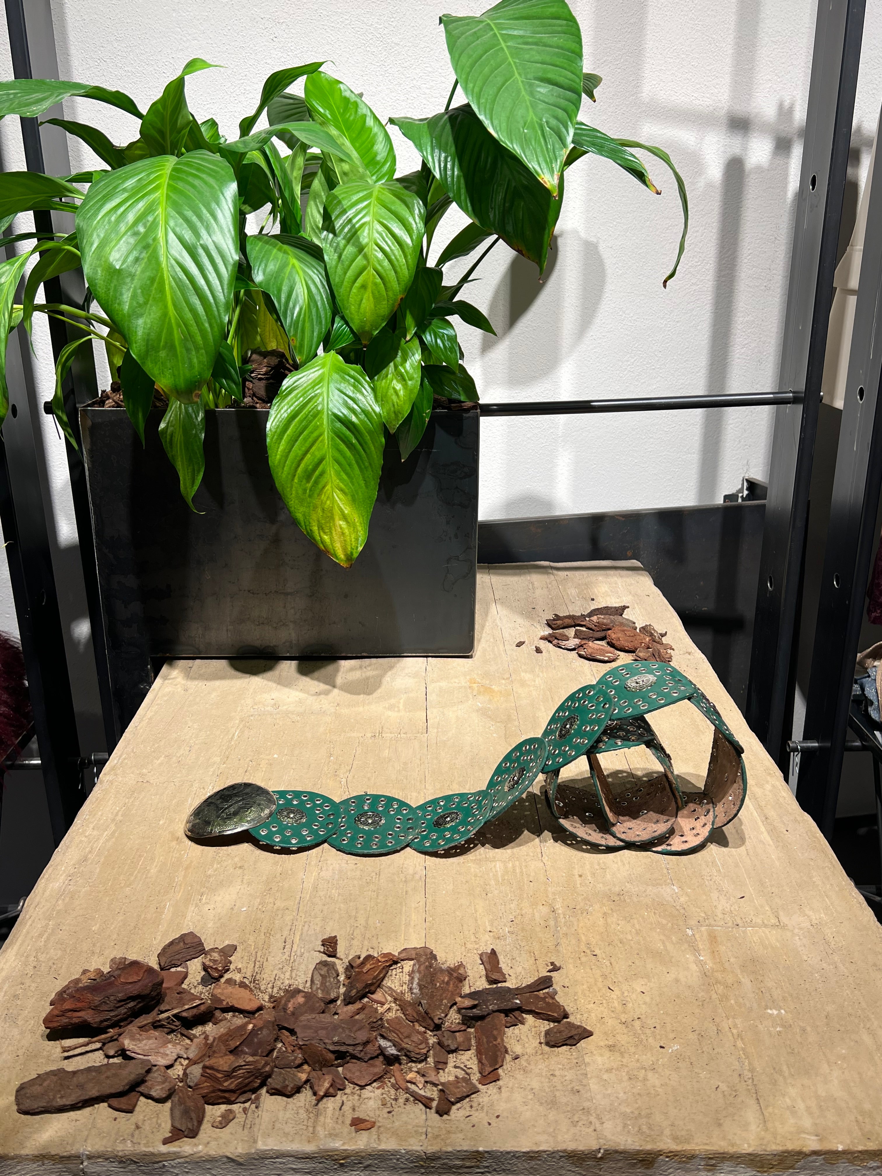 Matié cintura pelle texas