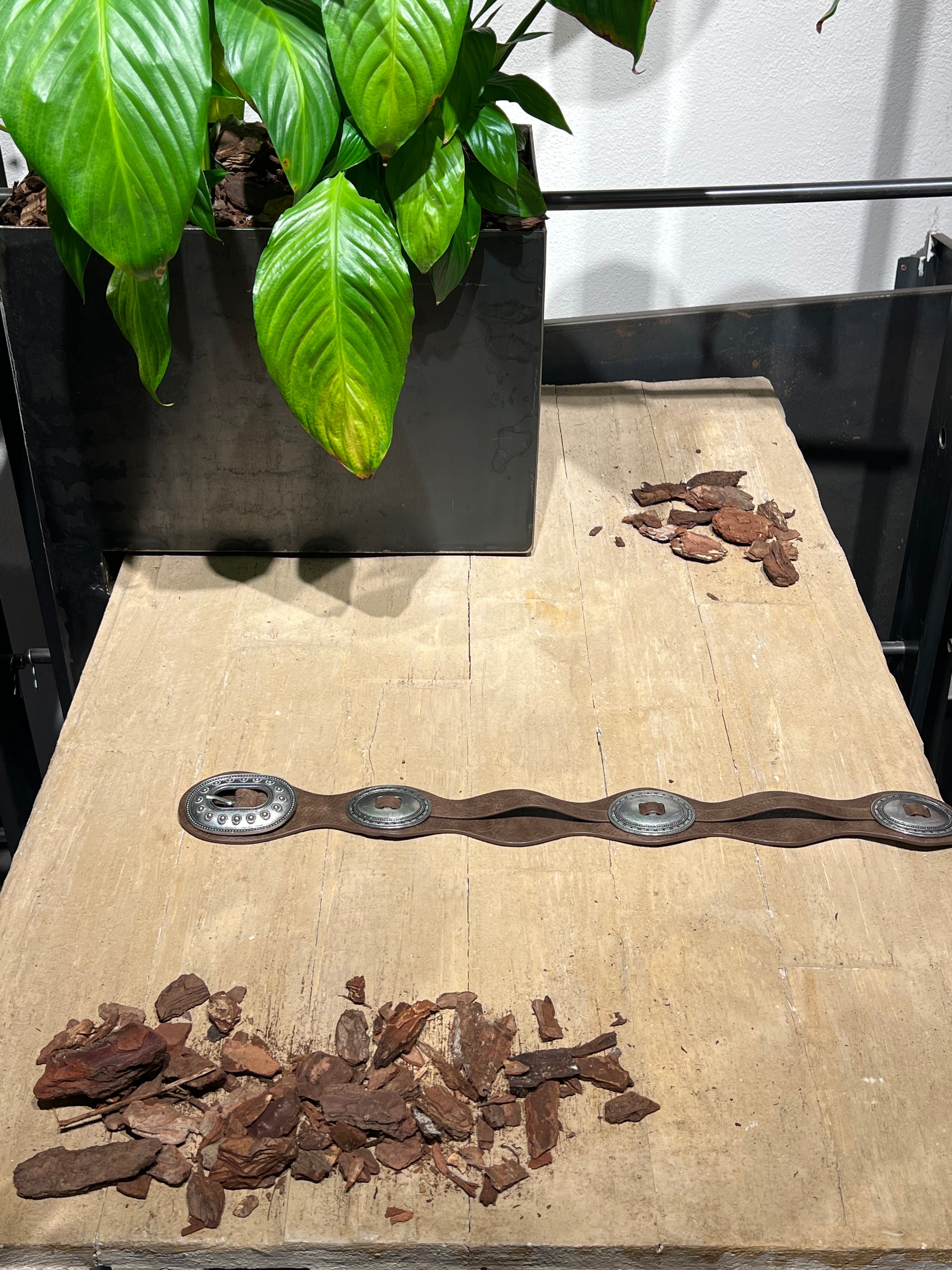 Matié cintura ecopelle Dallas