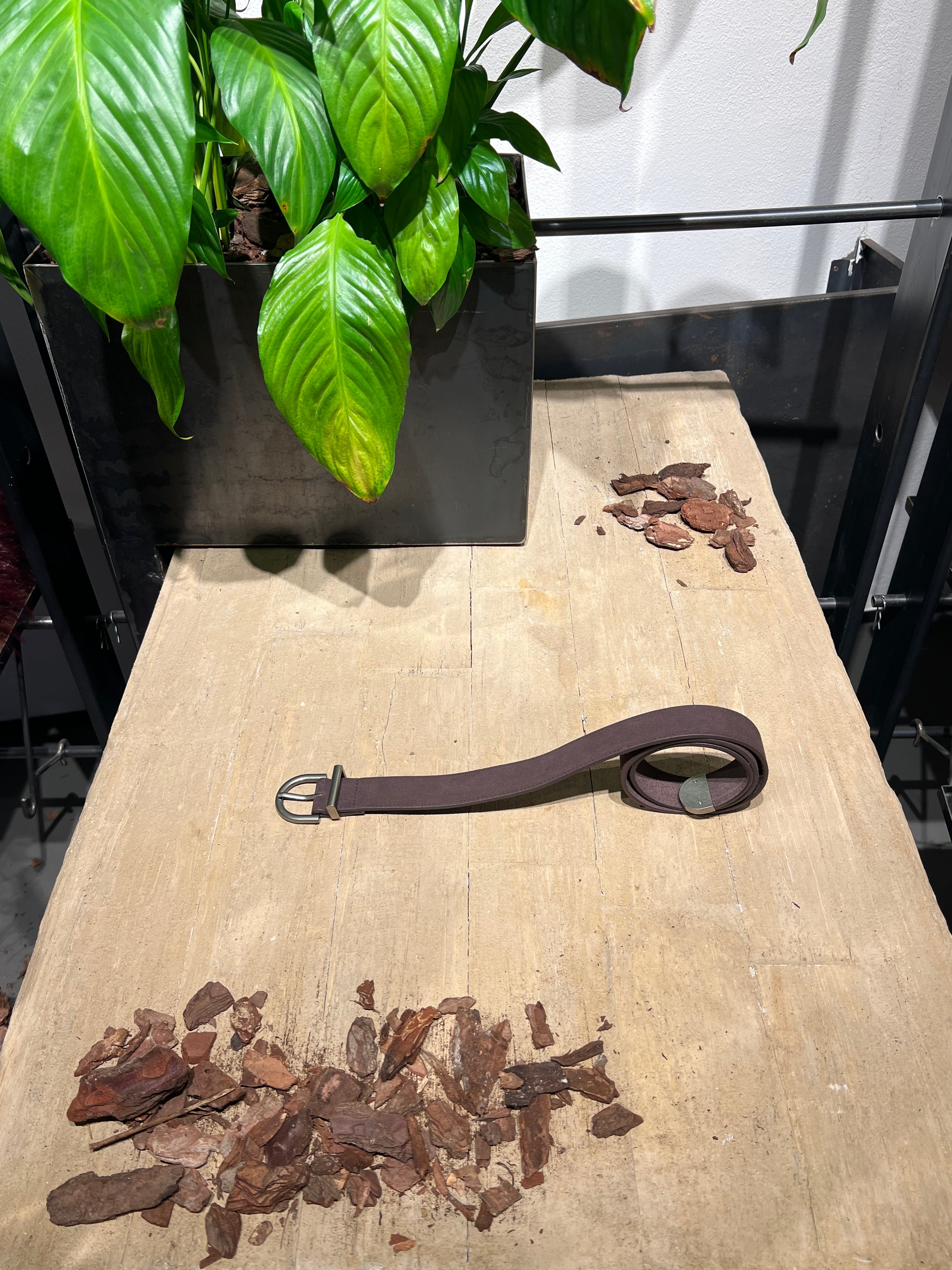 Matié cintura pelle scamosciata cioccolato