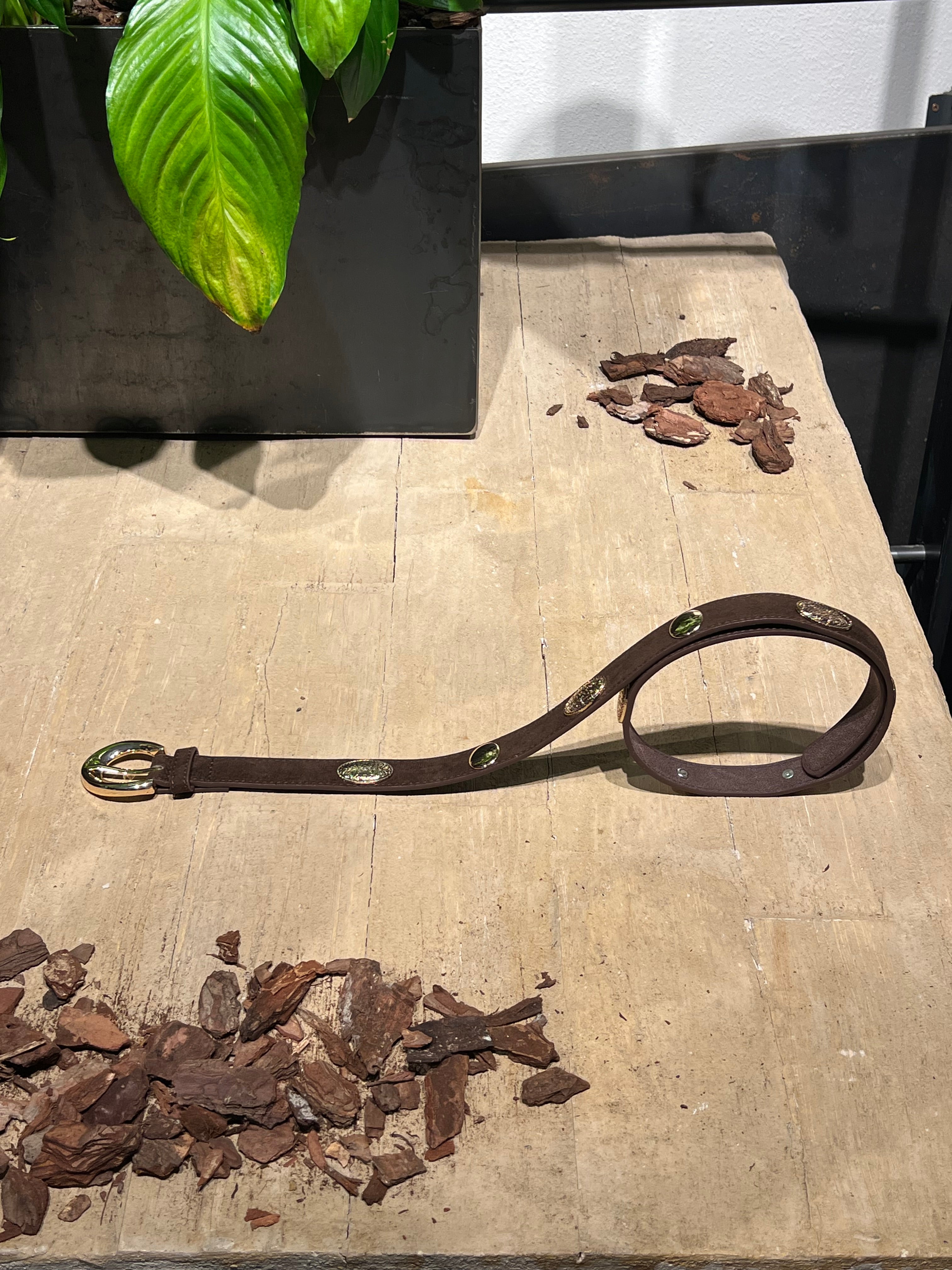 Matié cintura mia cioccolato