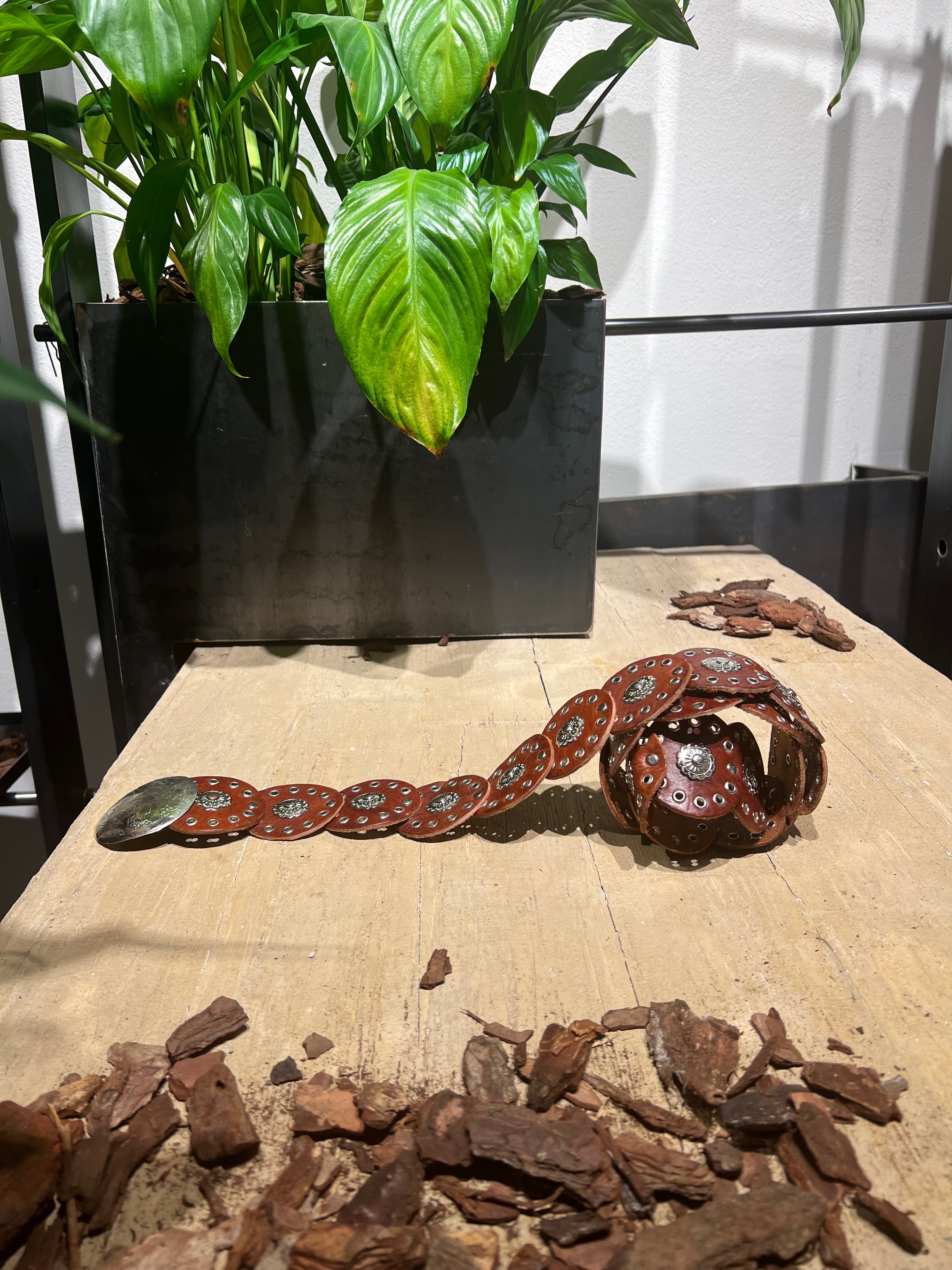 Matié Cintura pelle borchie