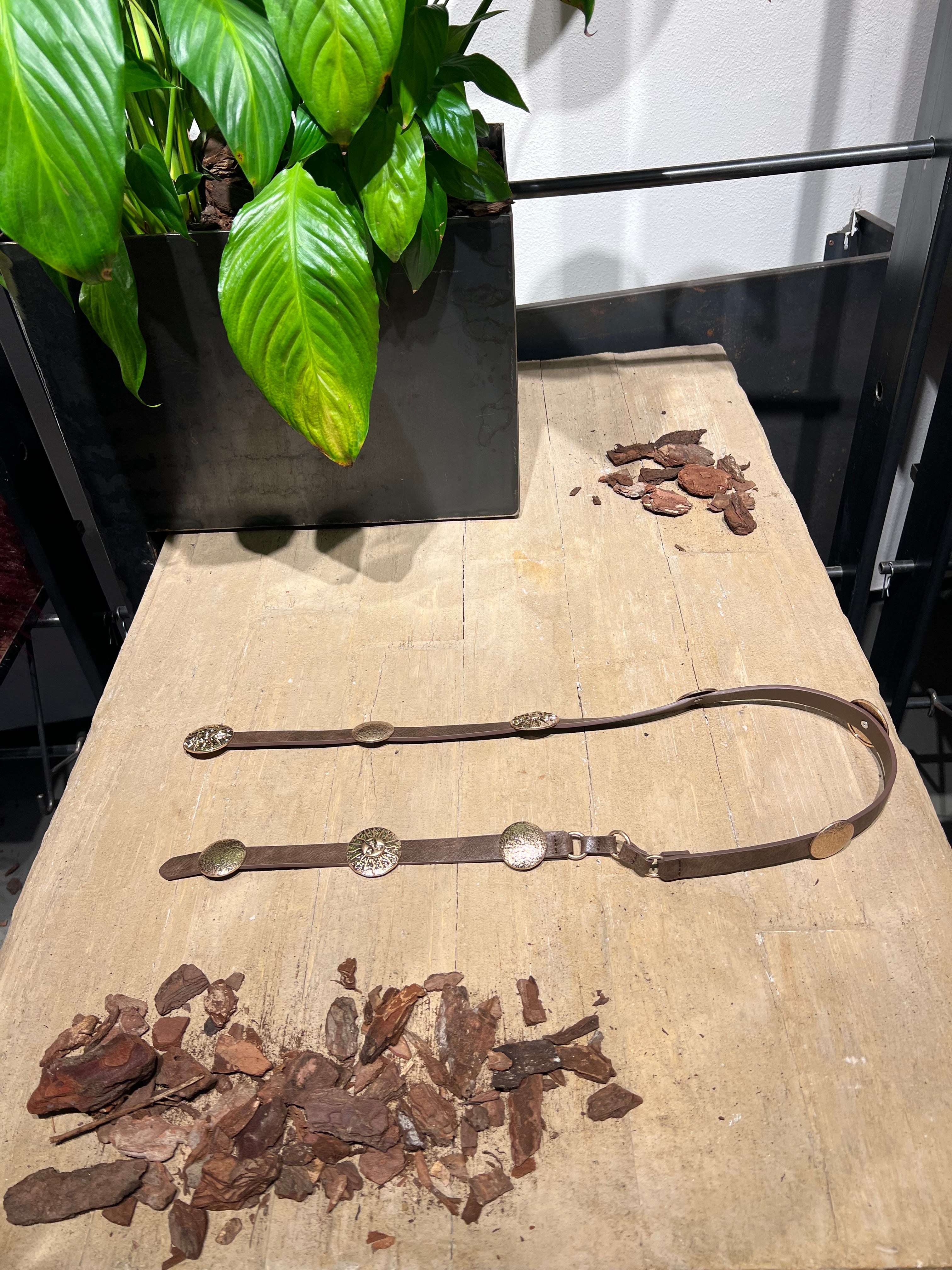 Matié cintura pelle sole cioccolato